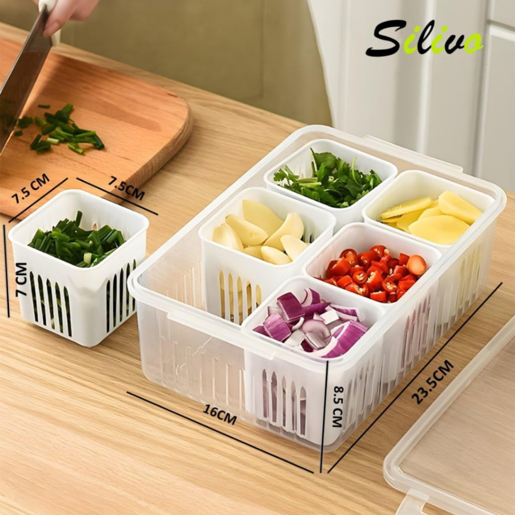 6-Grid Fridge Storage Box – Multi-Compartment Plastic Food Organizer & Spice Container for Refrigerator Kitchen Storage