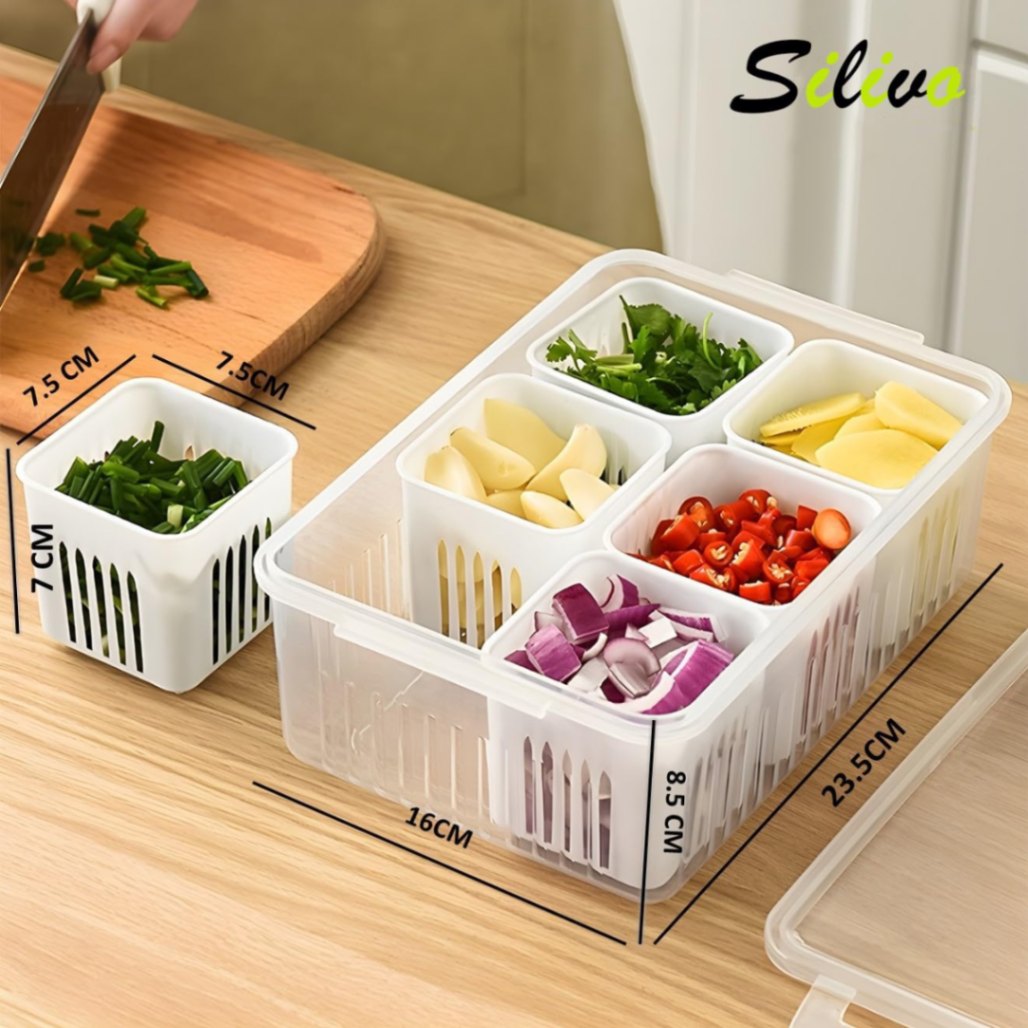 6-Grid Fridge Storage Box – Multi-Compartment Plastic Food Organizer & Spice Container for Refrigerator Kitchen Storage