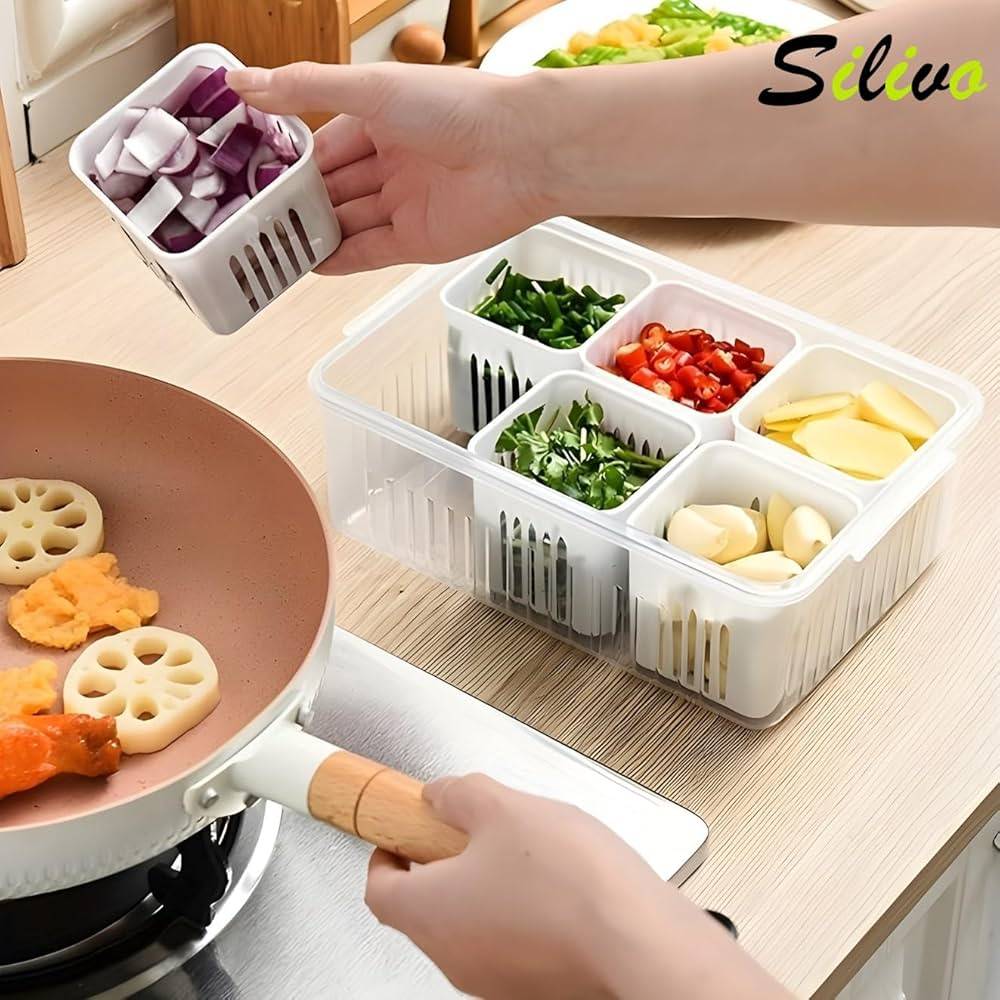 6-Grid Fridge Storage Box – Multi-Compartment Plastic Food Organizer & Spice Container for Refrigerator Kitchen Storage
