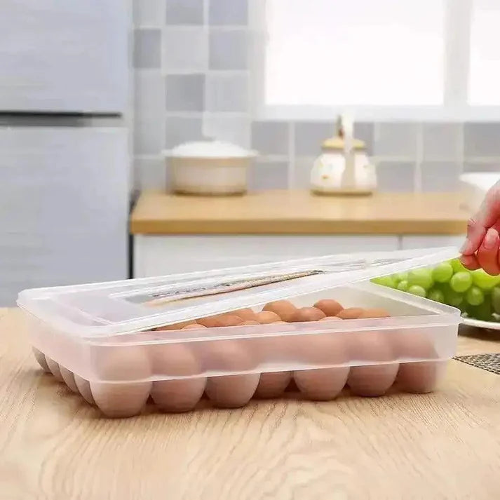 30 grid egg storage box