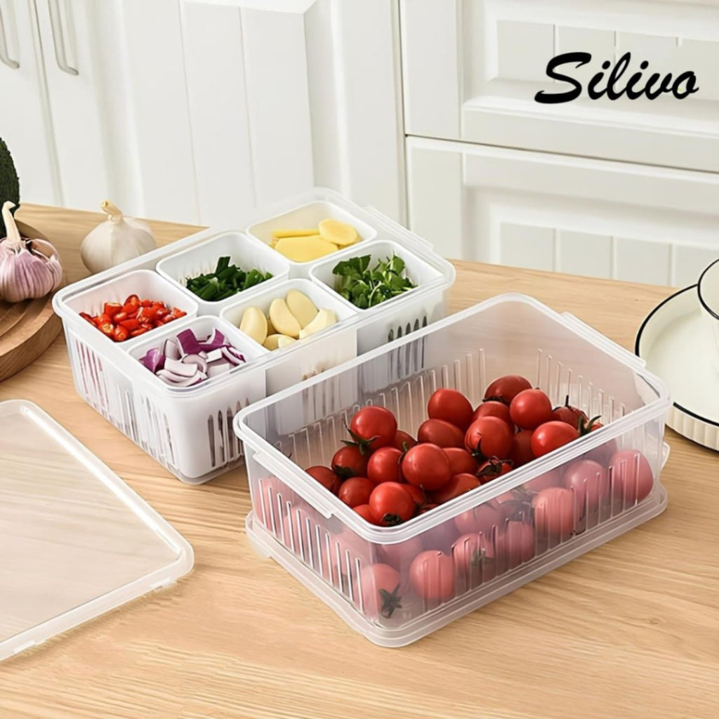 6-Grid Fridge Storage Box – Multi-Compartment Plastic Food Organizer & Spice Container for Refrigerator Kitchen Storage